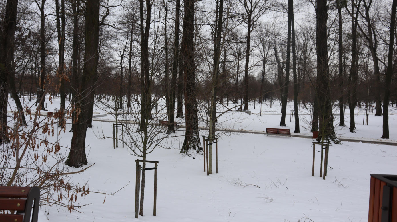 Park Ludowy 