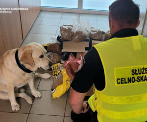 Pomoc psa-celnika byla bezcenna