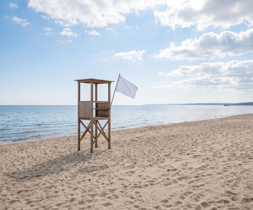 Sinice Gdynia. Czy w Gdyni można się kąpać 21.07? Flaga, warunki pogodowe