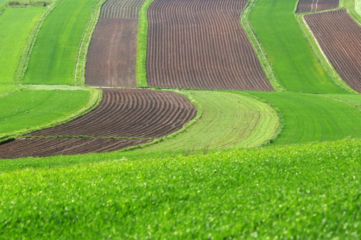 Wyjątkowa małopolska wieś na Szlaku Orlich Gniazd. Zachwycają się nią nawet za granicą 