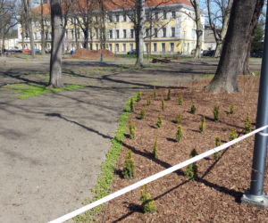 Kończy się czwarty etap rewitalizacji parku na Pl. Kościuszki w Lesznie
