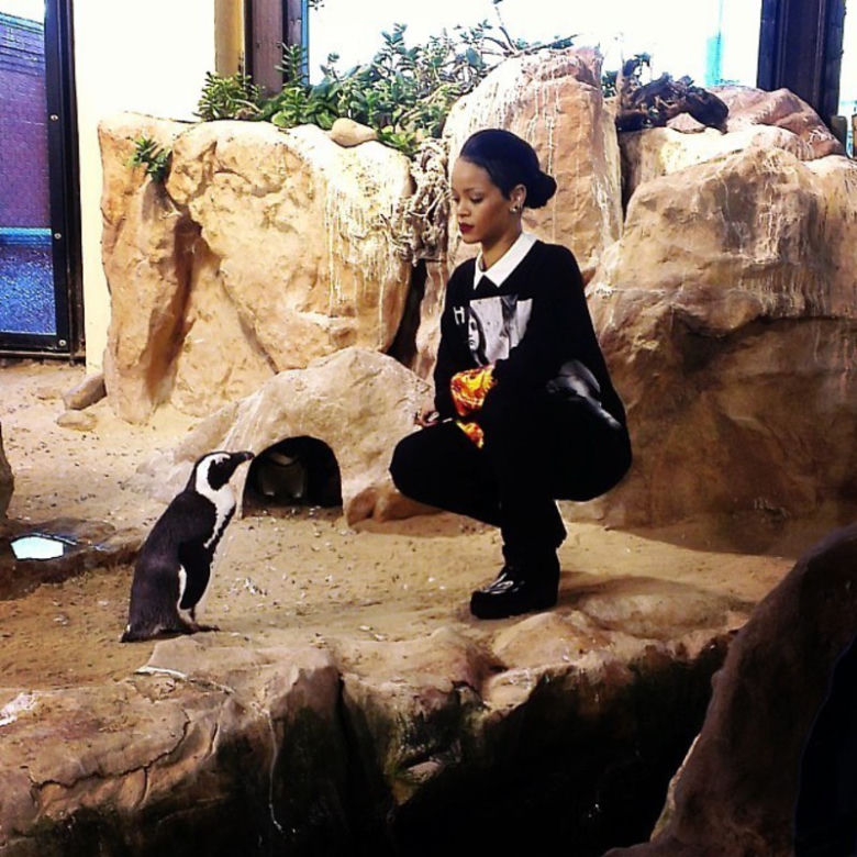Rihanna w Afryce