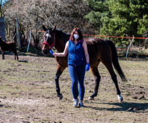 Koronawirus w Trójmieście. Zamieszkali razem ze zwierzętami w schronisku [ZDJĘCIA]