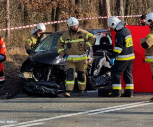 Wypadek na drodze wojewódzkiej nr 395 pod Ziębicami 