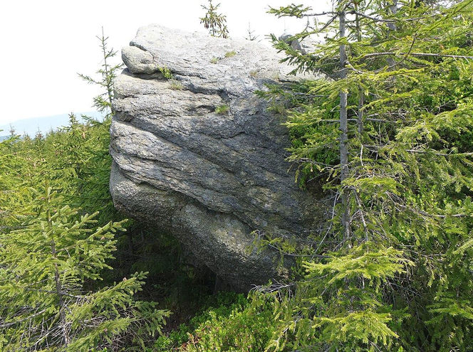 Magurka Radziechowska na zdjęciach