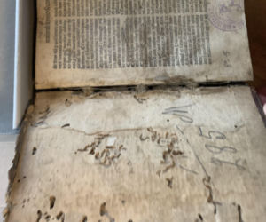 Biblioteczne rarytasy w Lublinie. Czyli wyjątkowa okazja w domu książki