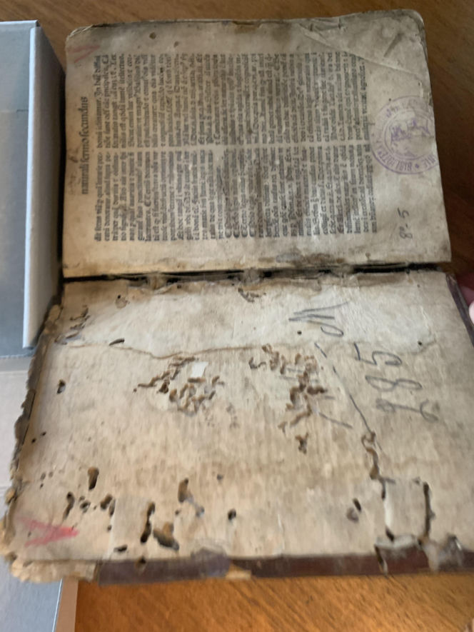 Biblioteczne rarytasy w Lublinie. Czyli wyjątkowa okazja w domu książki