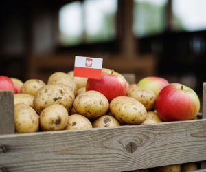 Nowy obowiązek w sklepach. Flaga na owocach i warzywach to szansa dla rolników, czy dodatkowe koszty?