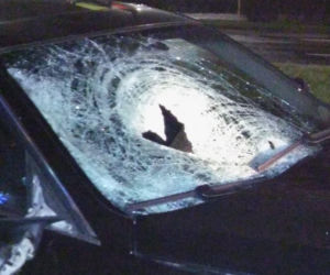 BMW w Toruniu śmiertelnie potrąciło matkę i córkę na przejściu dla pieszych