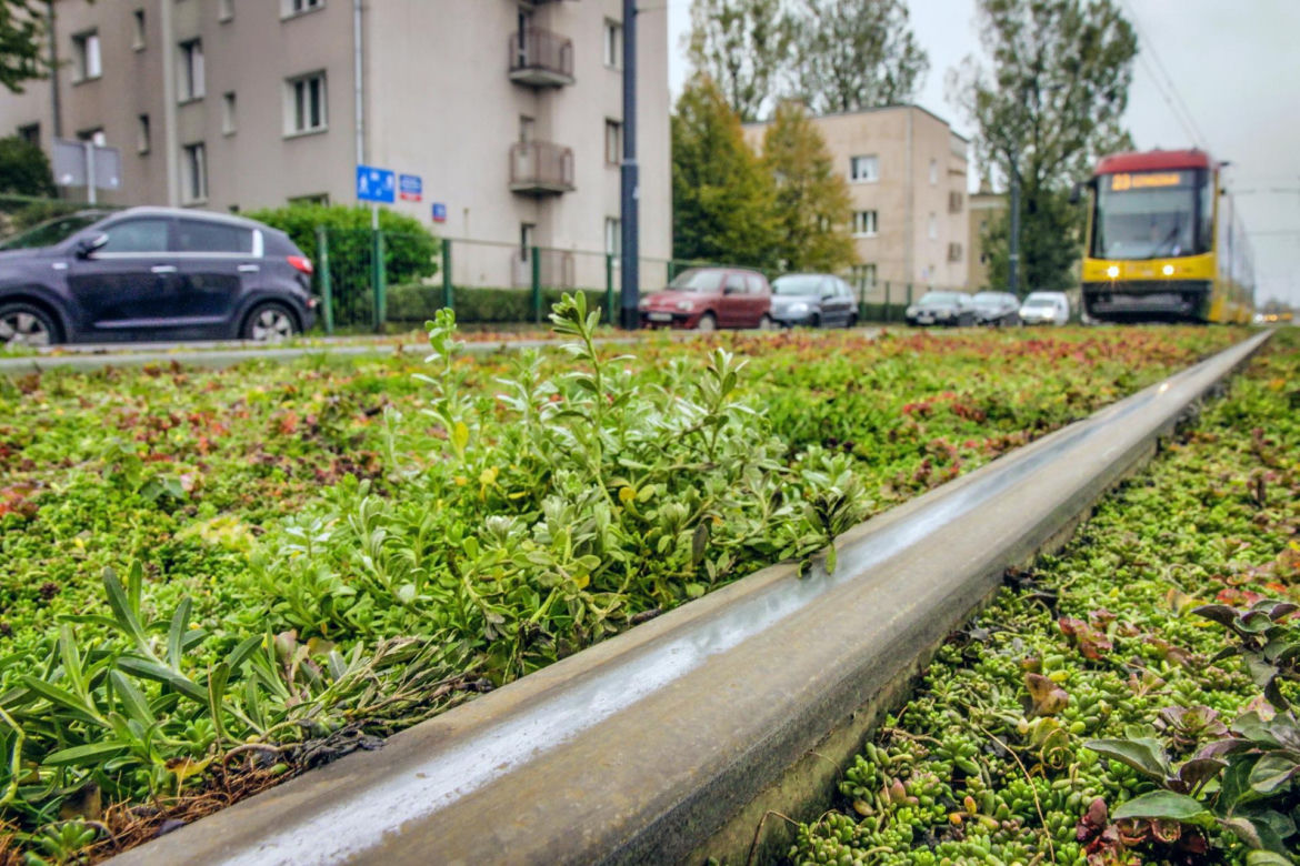 Tory tramwajowe w Warszawie pachną włoską pizzą