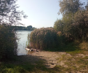 sprzątanie żwirowni