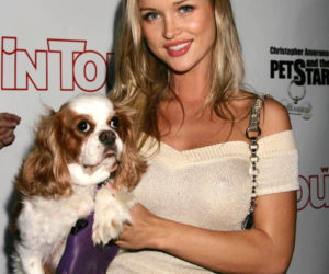 Goście Zespołu ds. Ochrony Zwierząt w Sejmie