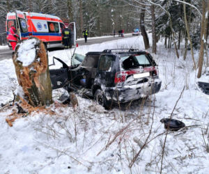 Seat nabił się na pień