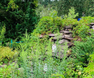 Zamek powstał w latach 90. w Żurczynie koło Bydgoszczy, prawdopodobnie na wzór niemieckiego pałacu Drachenburg