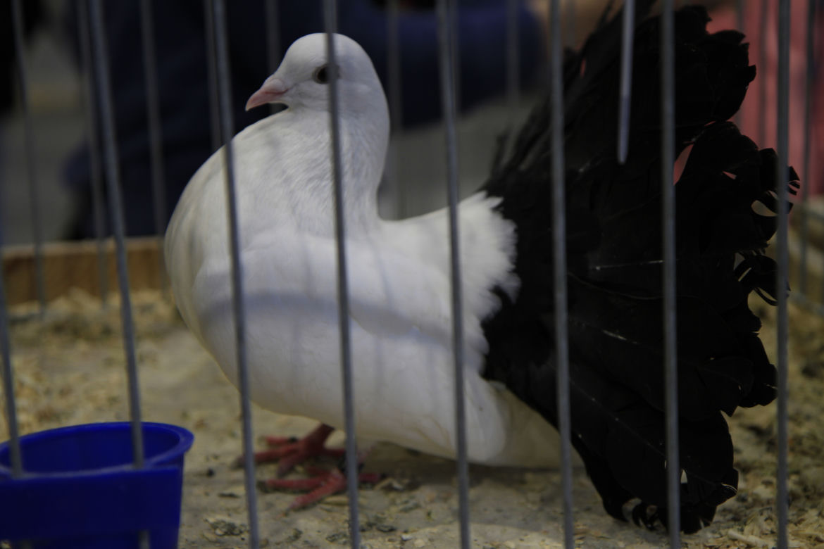 ZooPark 2023 w Lublinie przyciągnął tłumy!