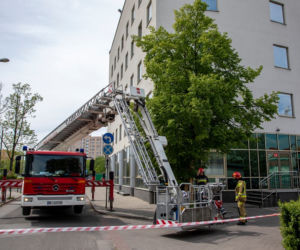 Atak pszczół na Bemowie! Rójka przy Urzędzie Dzielnicy.