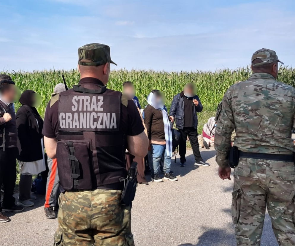 migranci