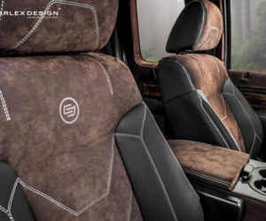 Ford F-150 Carlex Design