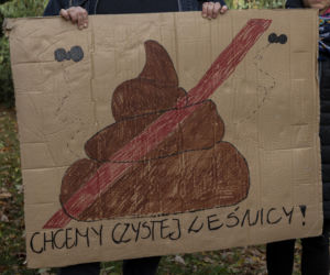 W Leśnicy grasuje szamboszajka