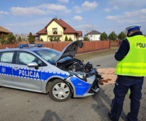 Pijany 21-latek huknął seatem czołowo w radiowóz. Dwóch policjantów trafiło do szpitala