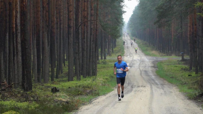 : BoryRun 2026. Niezwykły festiwal biegowy w sercu Borów Dolnośląskich! Zapisy ruszyły!