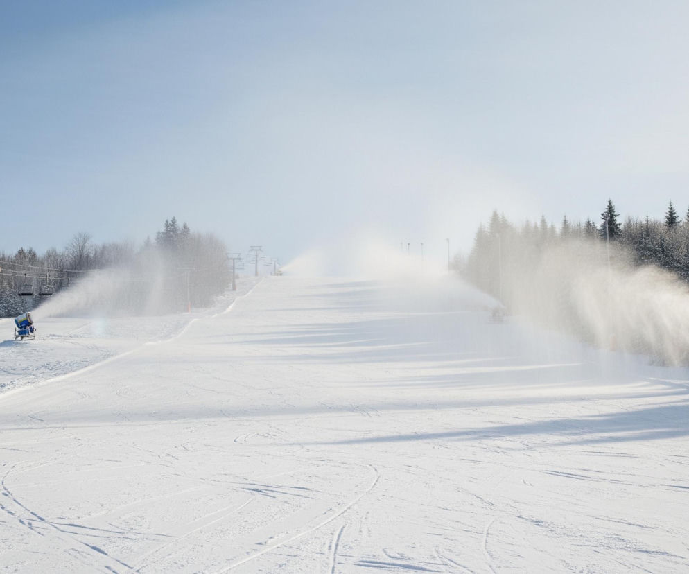 Ośnieżony stok narciarski rozciąga się od pierwszego planu ku horyzontowi, pokryty cienkimi śladami nart i desek snowboardowych. Po obu stronach stoku, na tle bezchmurnego, jasnoniebieskiego nieba, rośnie gęsty las z sosnami i bezlistnymi drzewami. Cztery armatki śnieżne, w odcieniach niebieskiego i żółtego, rozpylają biały śnieg na stok, tworząc smugi w powietrzu. Wzdłuż stoku widać konstrukcje wyciągów narciarskich z pustymi krzesełkami oraz lampy oświetleniowe na wysokich słupach.