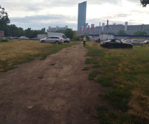 Wzdłuż parkingu Centrum Handlowego Arena wyrosną drzewa