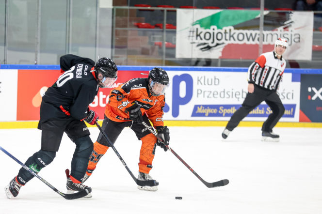 Mecz hokejowy Reprezentacji Artystów Polskich i Przedsiębiorców