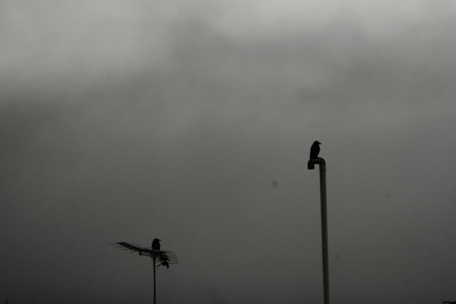 Czarny deszcz spadł w Iranie! "Słońce zniknęło"