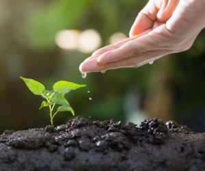 Szkoły z Ostrzeszowa ruszają po eko-punkty. Wystartował konkurs „Naturalnie, że eko”