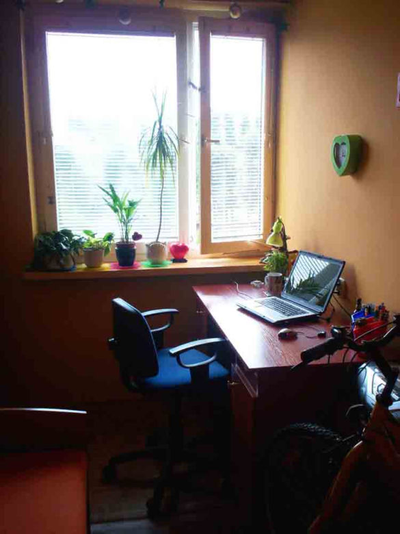 Zdjęcie 5047