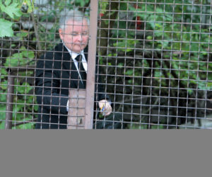 Jarosław Kaczyński - 4