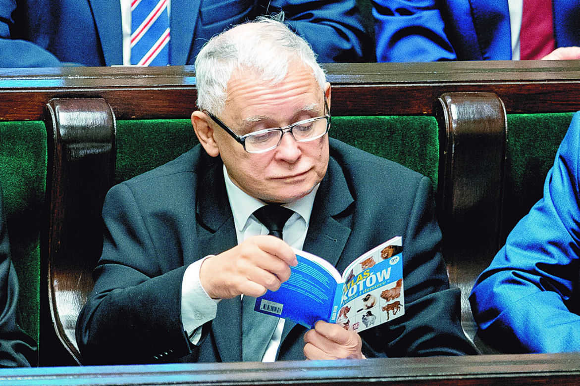  Jarosław Kaczyński