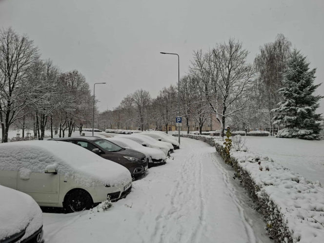 Atak zimy w Świętokrzyskiem. Śnieg i trudne warunki drogowe 23 Listopada 2025