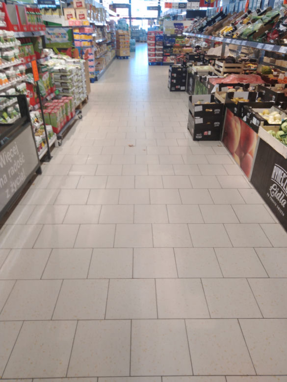 Koronawirus na Śląsku. Olbrzymie kolejki do sklepów w regionie (ZDJĘCIA)