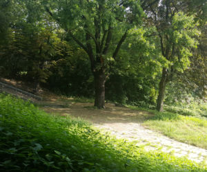 Park Zamkowy i Promenada w Mysłowicach