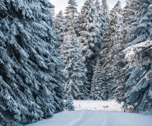 Nagła zmiana pogody tuż przed świętami! Czy spadnie śnieg? Prognozy są obiecujące! 