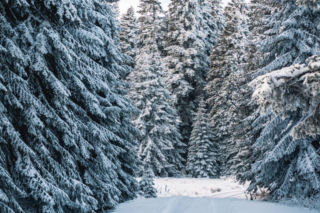 Nagła zmiana pogody tuż przed świętami! Czy spadnie śnieg? Prognozy są obiecujące! 
