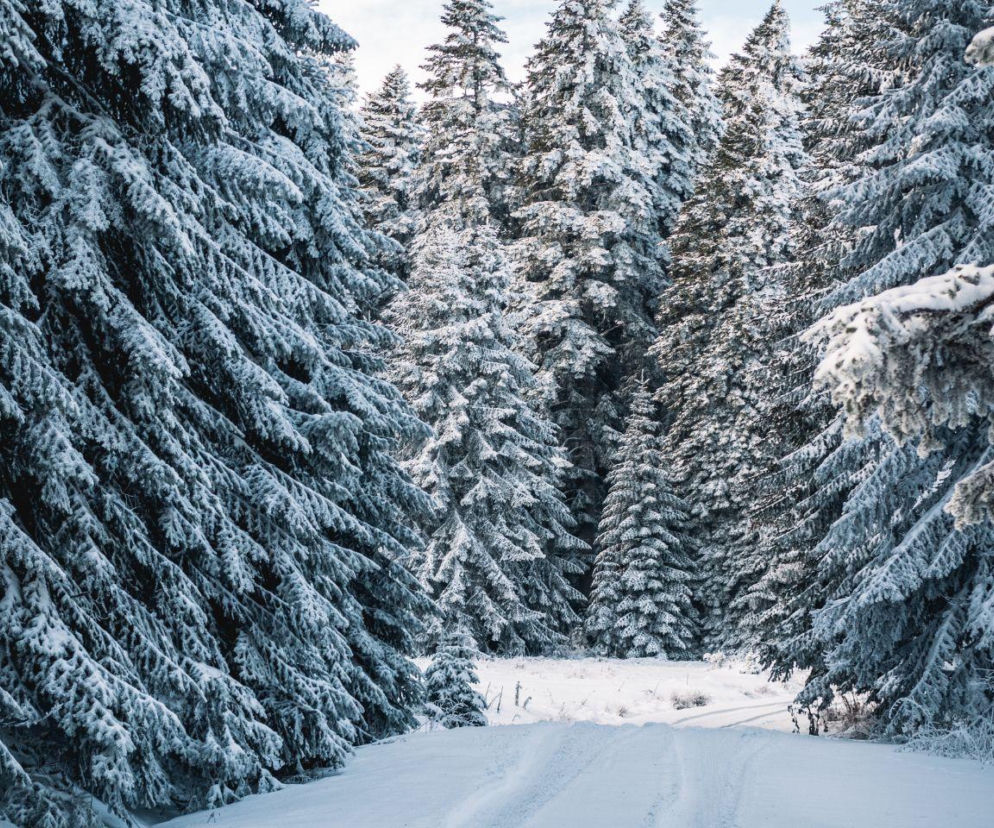 Opady śniegu na Boże Narodzenie 2025?