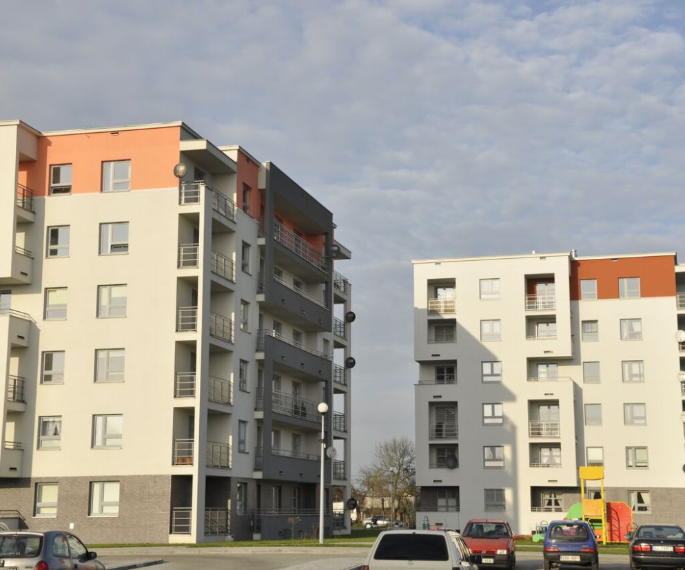 bełchatów. tbs