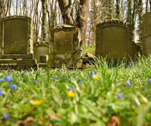 Cmentarz poewangelicki w Osiecznej