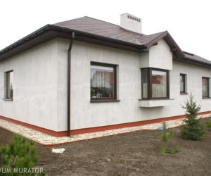 Wykusz