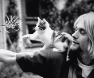 kurt cobain