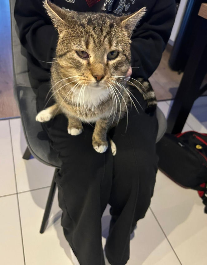 Mińsk Mazowiecki. Zatruł się czadem, gdy ratował Mruczka