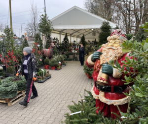 ESKA UBIERZE CI CHOINKĘ 2025