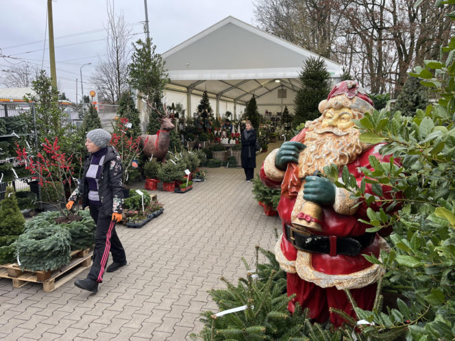 ESKA UBIERZE CI CHOINKĘ 2025