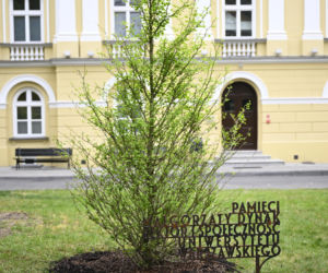 Rocznica masakry na UW. Uczcili pamięć pani Małgorzaty