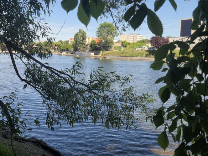 Rewitalizacja bulwarów nad Brdą. Umocnione nabrzeże i nowe ścieżki!
