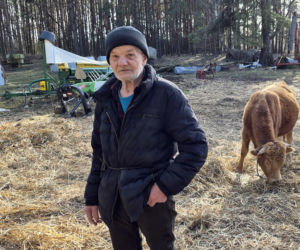 Rolnik z Podlasia bronił swojego bydła. Gdyby nie brat, to by mnie tam zatłukli