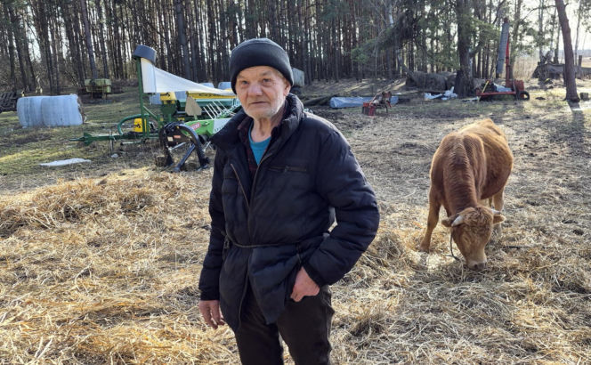 Rolnik z Podlasia bronił swojego bydła. "Gdyby nie brat, to by mnie tam zatłukli"